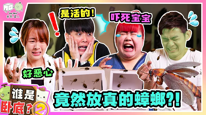 【谁是卧底？2 #1】玩很大！第一集就直接给大家摸蟑螂？全场崩溃！Spyfall S2E1 Who Touched The Cockroaches? - 天天要闻