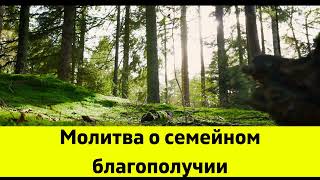 Молитва о семейном благополучии. От ругани и скандалов в доме.