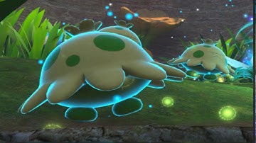 Dancing Trio Request - New Pokemon Snap Request Guides