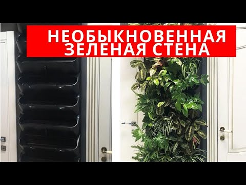 Фитостена своими руками пошагово