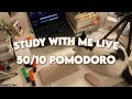 study with me live: 7 hours (real sounds, no music, 50/10 pomodoro technique) 🌷