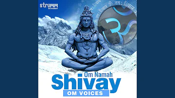 Om Namah Shivay