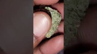 Visual Strain Review: Sugar Coded by OakFruitland 🔥🔥🔥🔥🔥