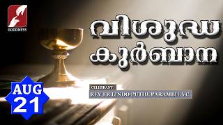 HOLY MASS LIVE @ 6 AM,21 AUG 2026|FR LINDO PUTHUPARAMBIL VC|MALAYALAM QURBANA|TODAY MASS|GOODNESS TV screenshot 4