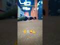pushabs by akshay #motivation #youtubeshorts