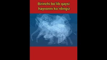 Which animal did you see first? ? #illusion #puzzle#mathpuzzle