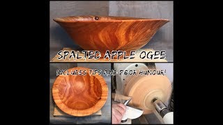 Woodturning - Spalted Apple Ogee Bowl (With Tips and Design Commentary) @woodturnerky8556