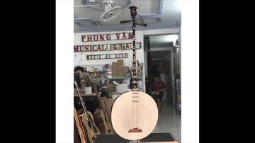 Đàn nguyệt gỗ mun hoa hàng chất lượng cao