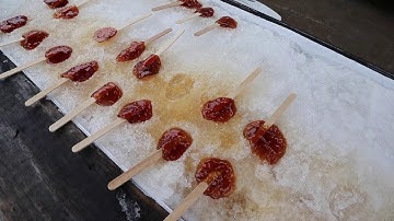 It’s maple syrup season at Fulton