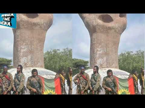 Oduu Ammee Arsii Bahaa Fi ABO WBO