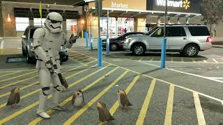 Porgs bothering first order Storm trooper at Walmart