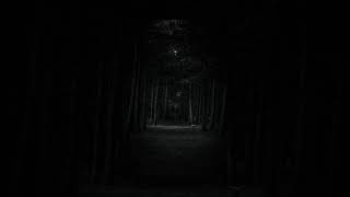 Melancholia by Ryan Creep but actually you're trap