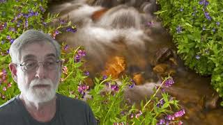 Classic Short Stories - The Tale of Tom Kitten | Storytime ASMR
