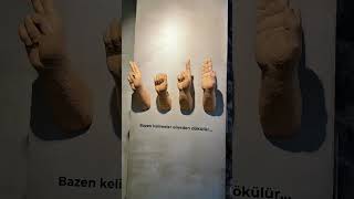 Ankaradaki Bu Muhteşem Müzeyi Mutlaka Görmelisiniz