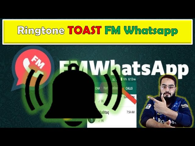 FM Whatsapp Contact Online Ringtone Toast/Notification | FM Whatsapp Toast | Afnan Talks class=