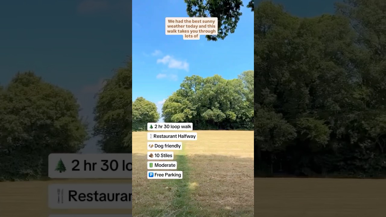 BECKLEY FLACKLEY ASH HOTEL WALK - Kent and Sussex walks 