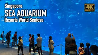 Singapore's amazing SEA Aquarium - Resorts World Sentosa