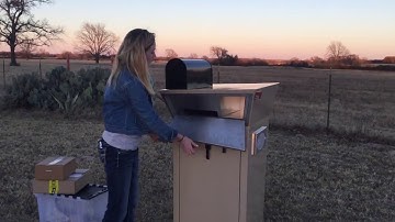 Mailbox Sentinel Porch Pirate Solution