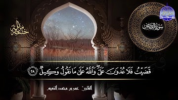 سور #القصص #العنكبوت كاملة | بصوت القارئ عمر بن محمد النعيم | جديد الختمات المرتله #المجد