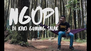 Coffee, Pine And Waterfall - Loji Taman Nasional Gunung Salak