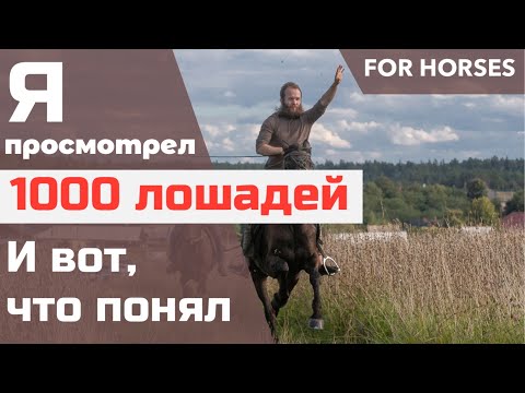Как правильно выбрать лошадь? | Александр Обжерин