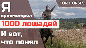 Как правильно выбрать лошадь? | Александр Обжерин