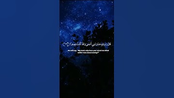 اكتب شيئ تؤجر عليه💛🤍💛-سورة: طه/القارئ: هيثم الدخين