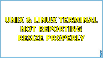 Unix & Linux: Terminal not reporting resize properly