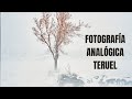 Polvo, viento, niebla y sol. Reportaje fotográfico analógico de Teruel.