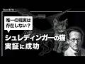 『シュレディンガーの猫』実証実験...目視可能なサイズで再現に成功した最新事例