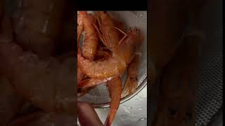 ?shrimp hipon shortvideo??