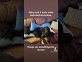 Give Bailey some love!