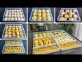 6 ÇEŞİT KURABİYE TARİFİ🤩ANİ MİSAFİR İÇİN BUZLUKTA SAKLAYABİLECEĞİNİZ KURABİYE ÇEŞİTLERİ/ Kurabiye