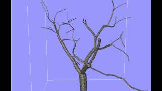 3D Tree Model 1