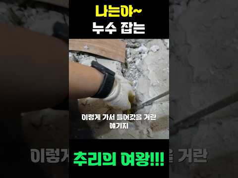 제주누수전문 언니설비 01066598604