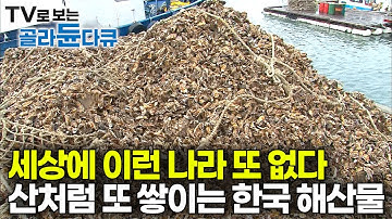 생산량 세계 2위! 전 세계로 수출하는 한국의 해산물? 말만 양식이지 바다에 담가만 놓으면 산더미처럼 알아서 또 자란다｜하루 60톤 대량 생산｜통영 굴 양식장｜극한직업｜#골라듄다큐