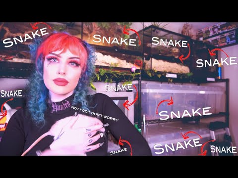 My Bedroom is Filled with Snakes (Touring Their Enclosures)