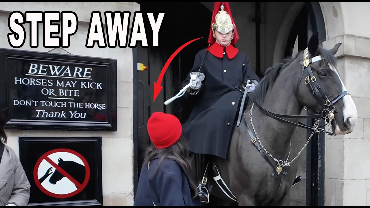 Tourist's BOLD Move: Guard SWIFTLY CONFRONTS Her as She Approaches the Horse Too Closely.