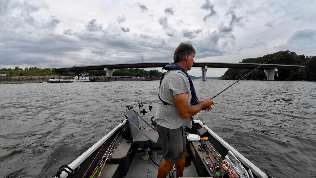 Fishing For Bait And Catfish Below Fort Loudoun Dam