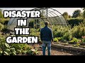 My Polytunnel is DESTROYED! + Future Garden Updates