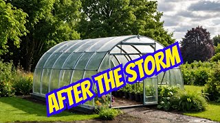 Polytunnel Aftermath: Future Channel Updates Revealed!