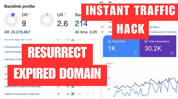 Google Instant Traffic from Expired Domain: Crazy Result with AI SEO