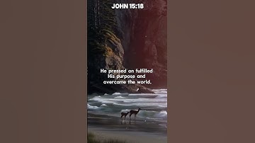 When the World Hates You ✨ | John 15:18