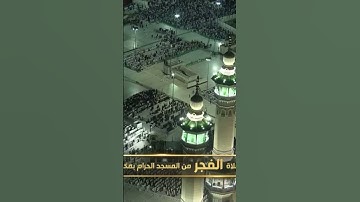 من فجر اليوم تلاوة تفوق الوصف - ٨ جُمادى الأولى ١٤٤٤ هـ .
