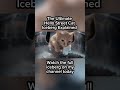 Little Fella - Ultimate Hello Street Cat Iceberg Explained