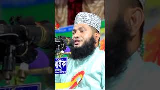 মাহফিল। মনোয়ার হোসেন মমিন ওয়াজ | Monowar Hossain Momin WAZ religion banglawaz