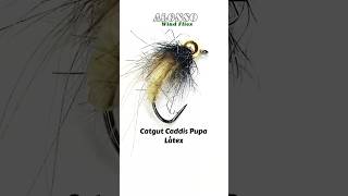 Fly tying Catgut Caddis Pupa