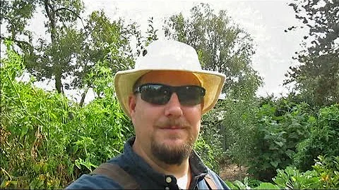 Complete Backyard Food Forest Tour (Year 5) Northern CA, Zone 9b