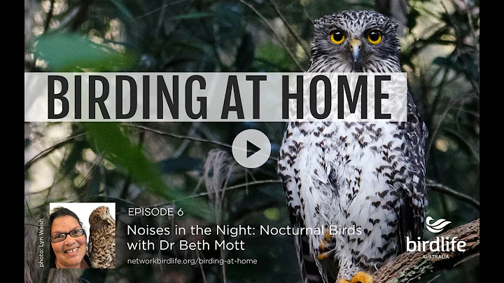 Birding at Home Episode 6: Noises in the Night - N...