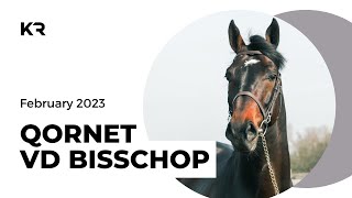 QORNET VD BISSCHOP